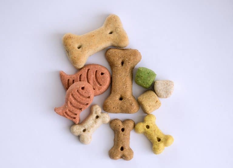 friandise chien